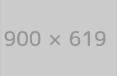 Misty Landscape